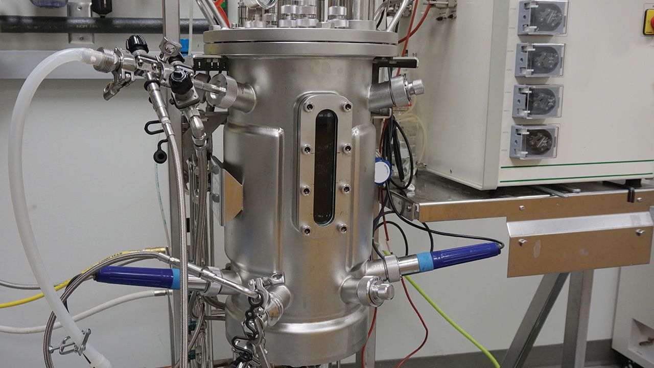 Industrial Bioreactor Comparison Guide